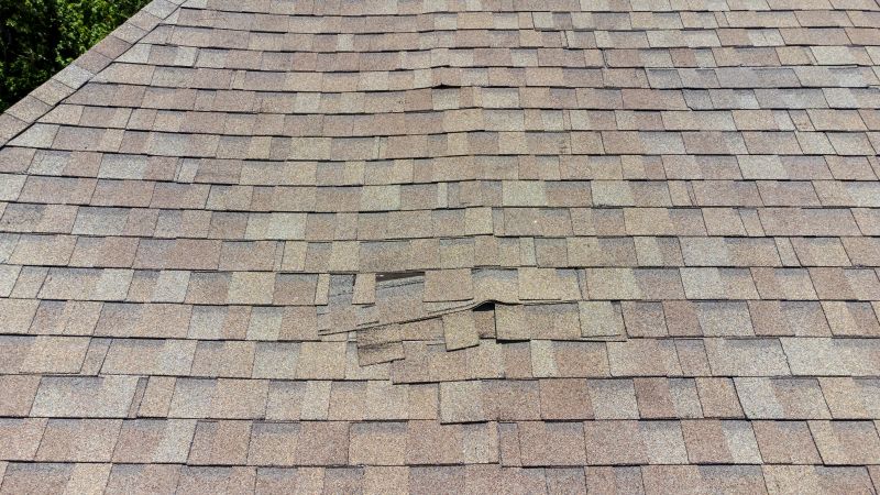 Asphalt Roof Inspection in Montville, OH
