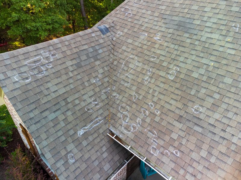 Asphalt Roof Inspection in Painesville, OH