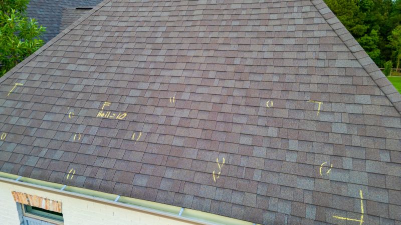 Asphalt Roof Inspection in Painesville, OH