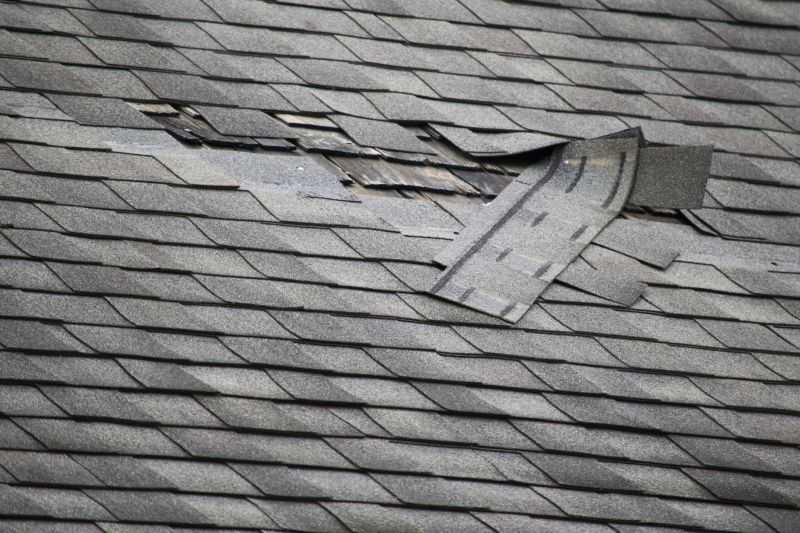 Asphalt Roof Repair in Madison, OH