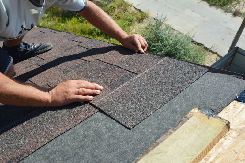 Asphalt Shingles Repair in Lake County, OH