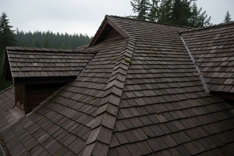 Cedar Shake Roof Replacement in Chardon, OH