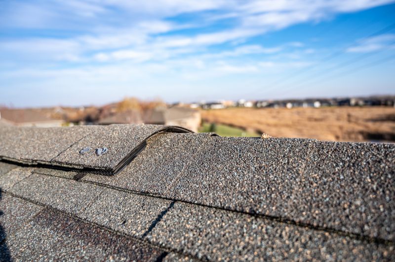 Damaged Roof Repair in Bristolville, OH