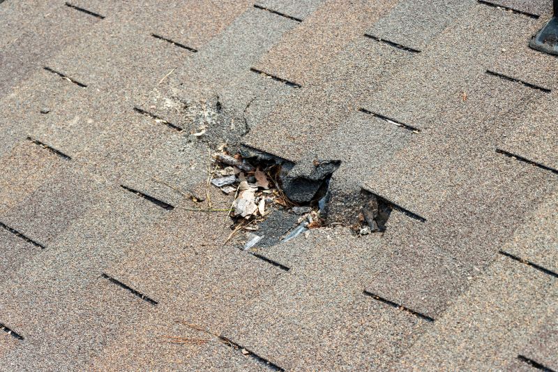 Roof Shingles Replacement in Chagrin Falls, OH