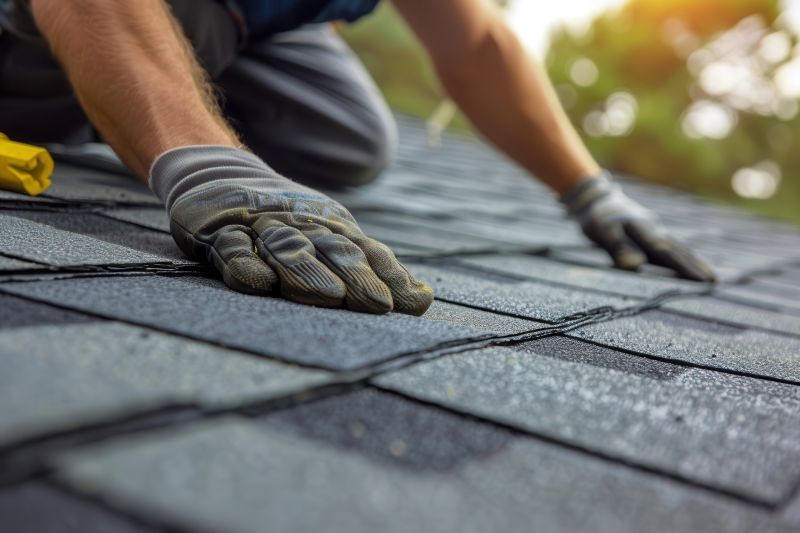 Shingles Repair in Geneva, OH