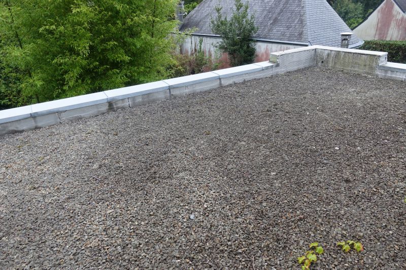 Tar And Gravel Roof Repair in Bristolville, OH