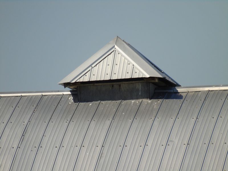 Tin Roof Installation in Newbury, OH